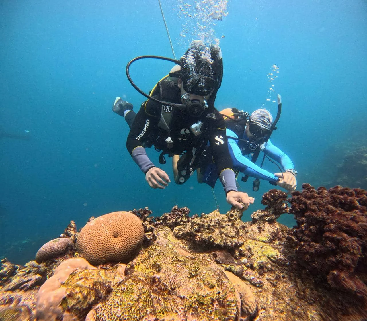 Rescue Diver & First Aid Course In Jeddah