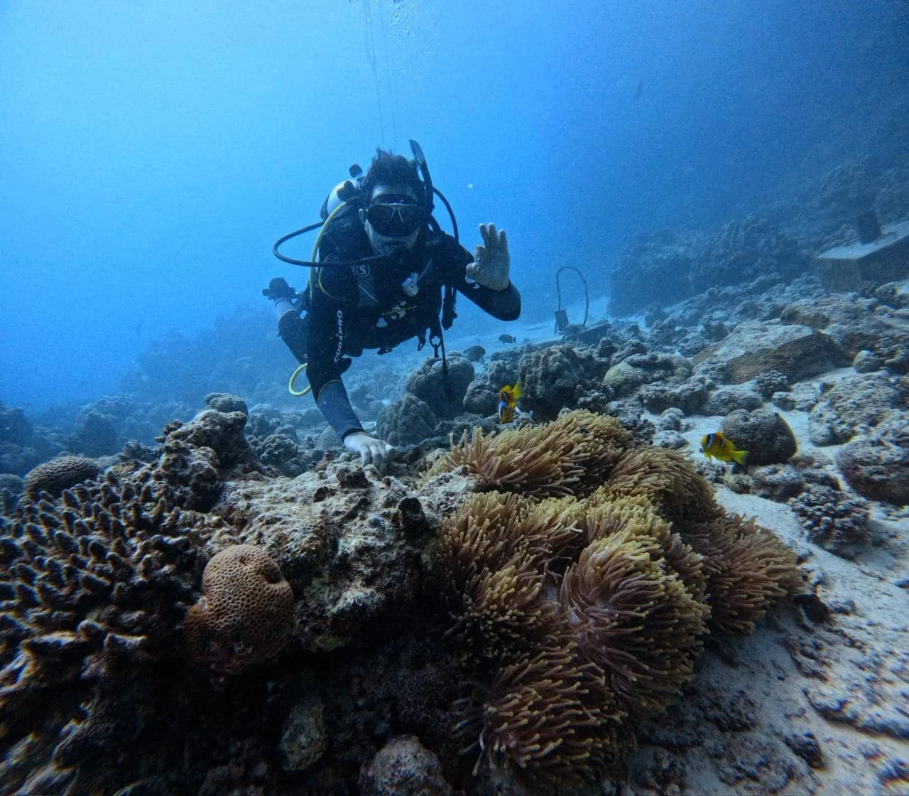 PADI Open Water Diver Course in Jeddah
