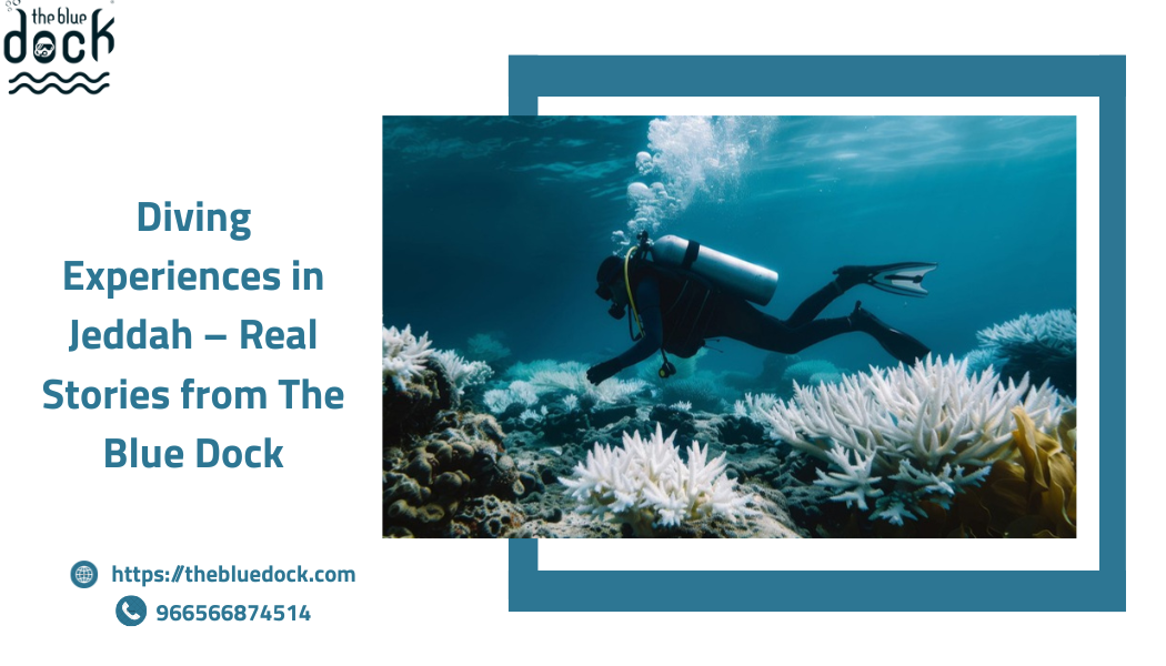 Diving Experiences In Jeddah