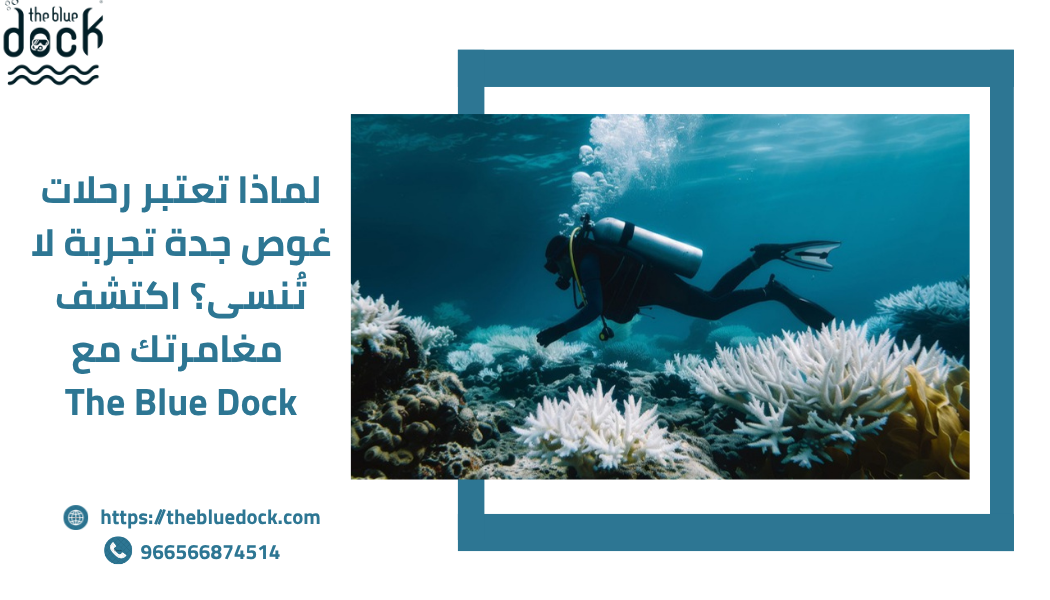 رحلات غوص جدة