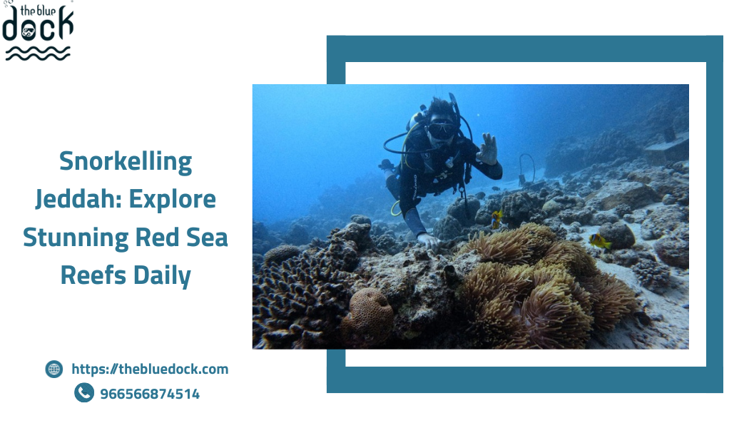 Snorkelling jeddah