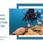 Red sea tours jeddah