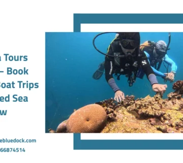 Red sea tours jeddah