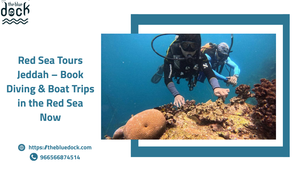 Red sea tours jeddah