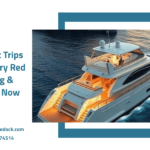 Jeddah boat trips