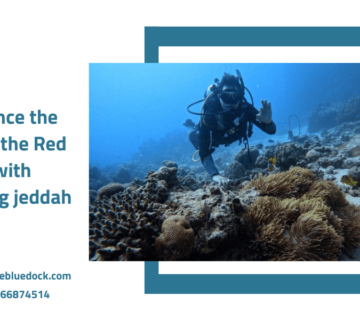 Snorkeling jeddah