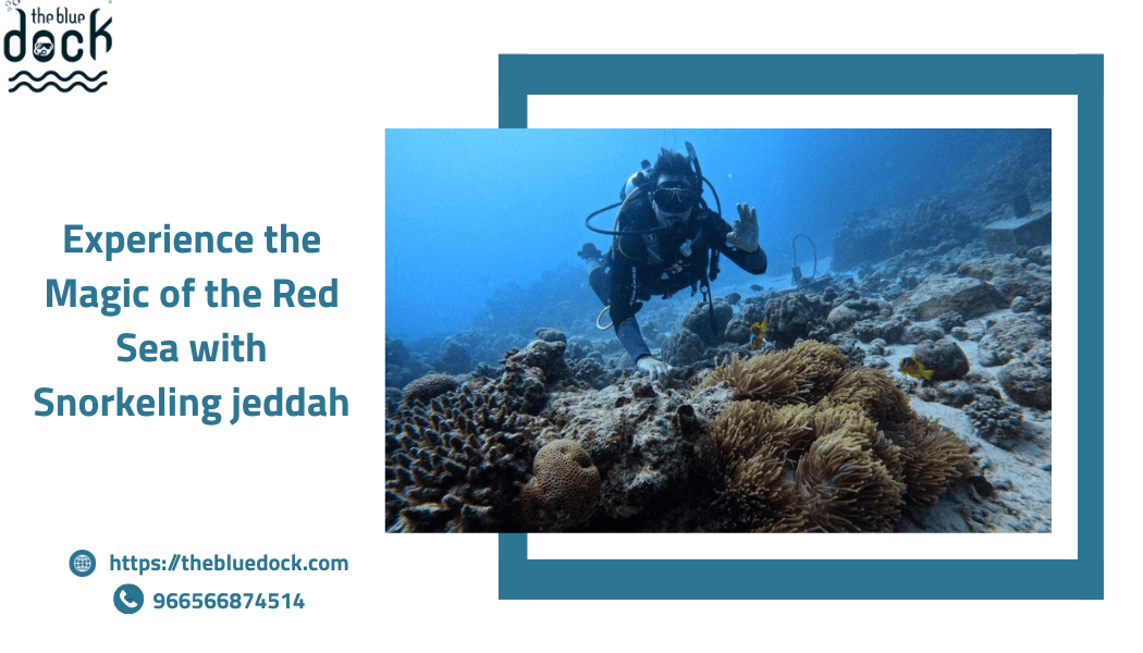 Snorkeling jeddah