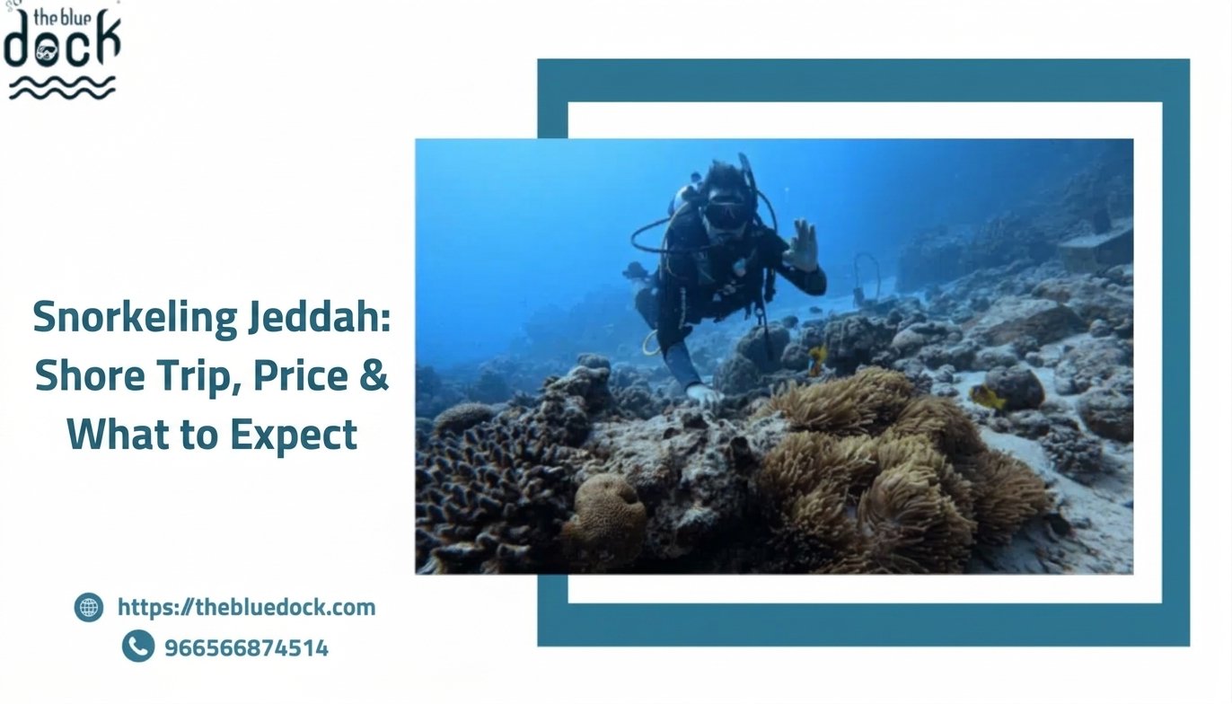 Snorkeling Jeddah: Shore Trip, Price & What to Expect