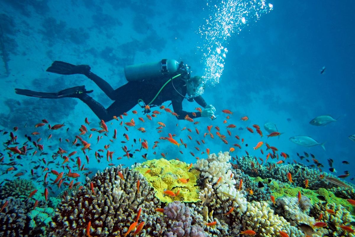 Scuba Diving Experience