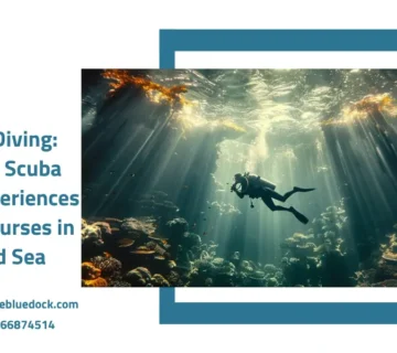 Jeddah diving