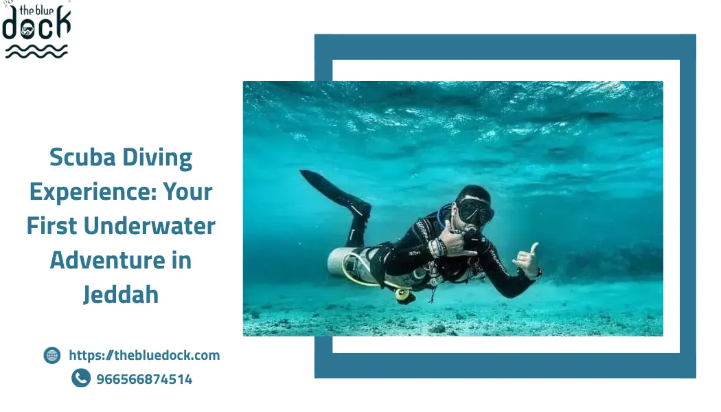 Scuba Diving Experience