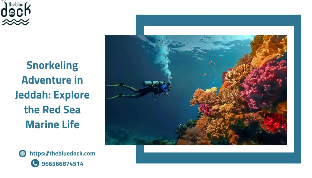 Snorkeling adventure in Jeddah