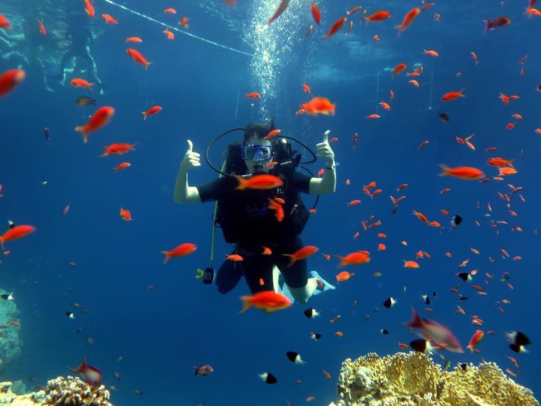 jeddah diving