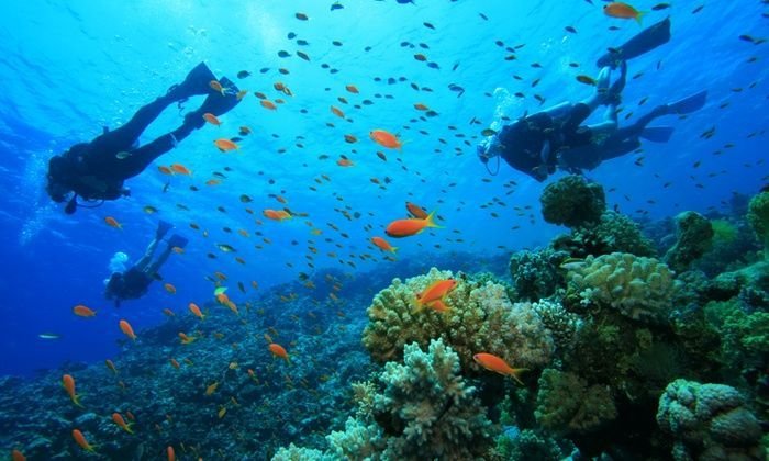 Scuba Diving Experience