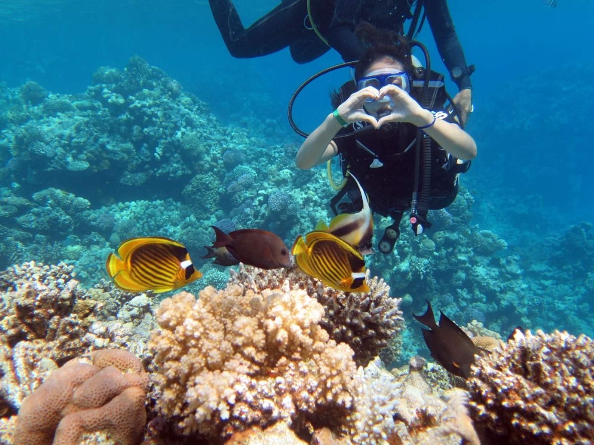 jeddah diving