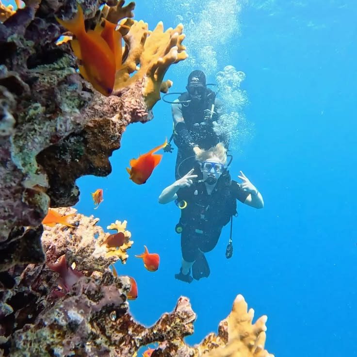 diving jeddah