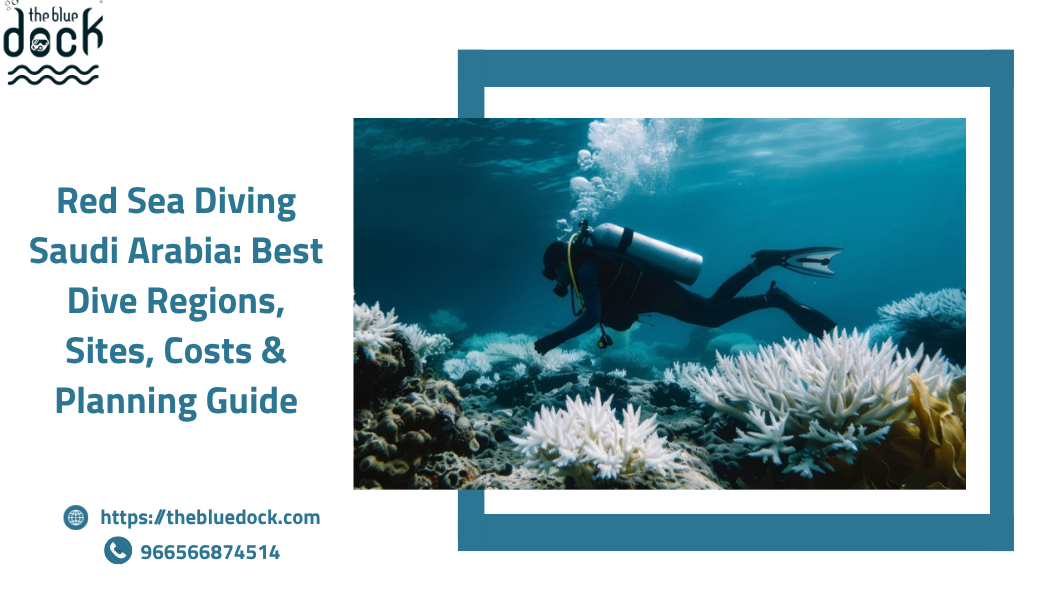 Red Sea Diving Saudi Arabia