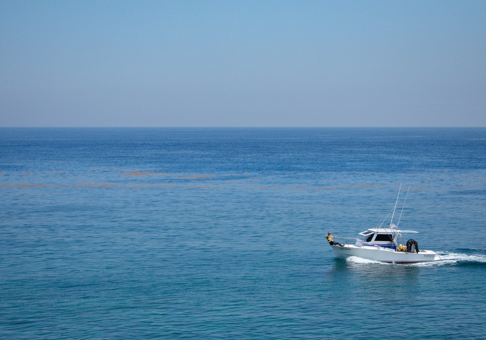 Red Sea Diving Jeddah