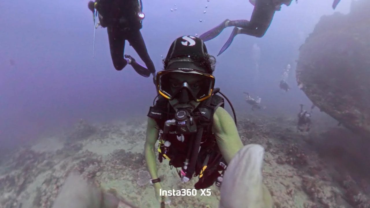 Red Sea Diving Saudi Arabia