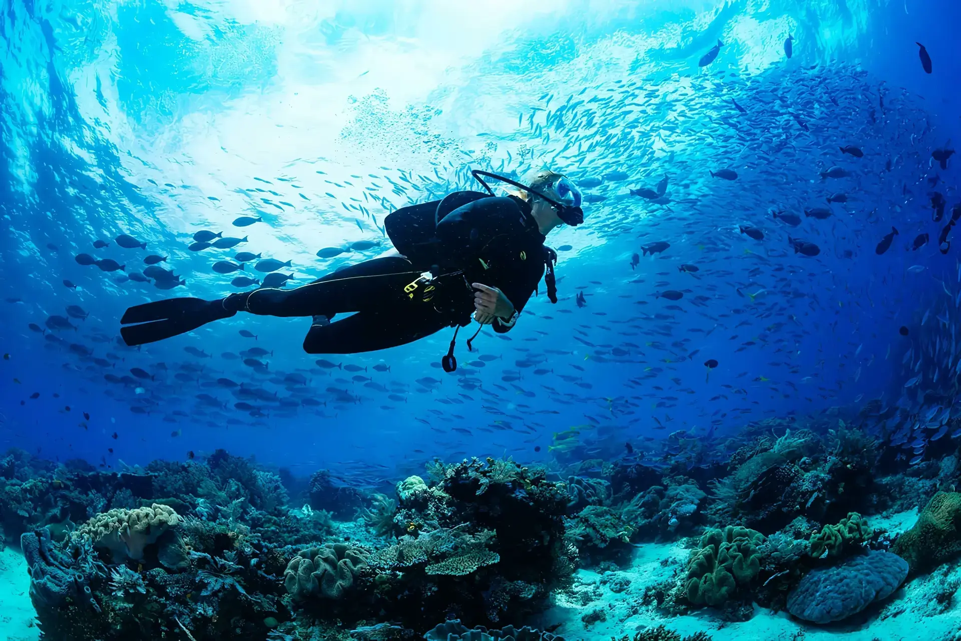 Scuba Diving Requirements Jeddah